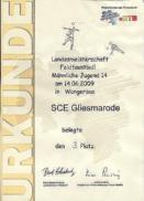 Urkunde für den 3.Platz bei den Landesmeisterschaften am 14.06.09 in Wangersen